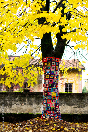 Photo: alberi vestiti - dressed trees alberi vestiti - dressed trees