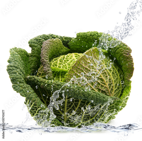 Photo: verza splash verza splash