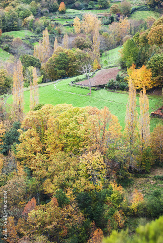 Photo: autumn colors autumn colors