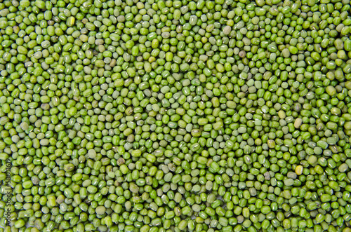 Photo: Green bean Green bean