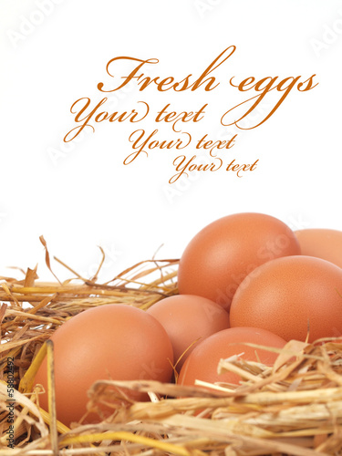 Photo: Fresh eggs Fresh eggs