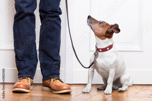 Photo: dog and owner dog and owner