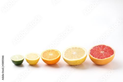 Photo: 白背景にならんだ果物 白背景にならんだ果物