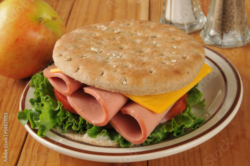 Photo: Baloney and cheese sandwich Baloney and cheese sandwich