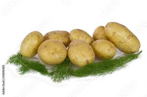 Photo: Potato Potato