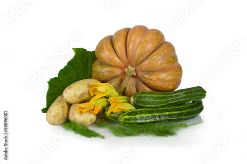 Photo: Zucchini, potatoes, pumpkin Zucchini, potatoes, pumpkin