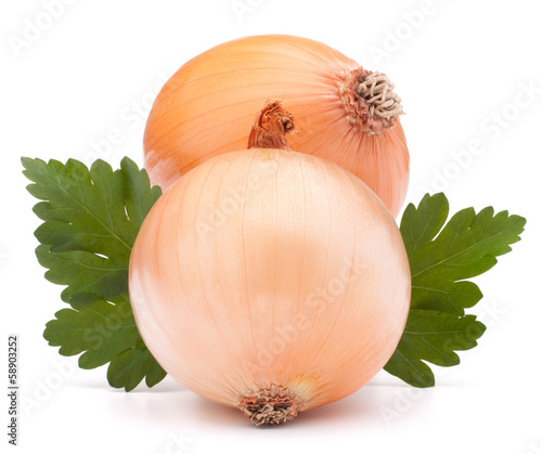 Photo: Onion vegetable bulb and parsley leaves still life Onion vegetable bulb and parsley leaves still life