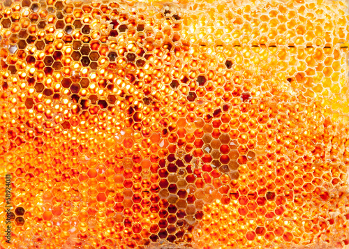 Photo: honey honey