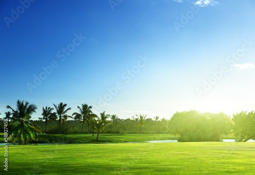 Photo: golf course golf course