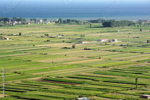 Cultivated Land In Albania