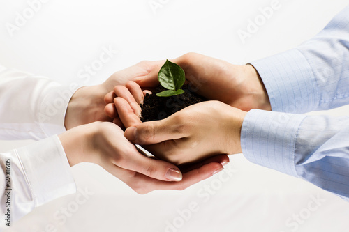 Photo: Sprout in hands Sprout in hands