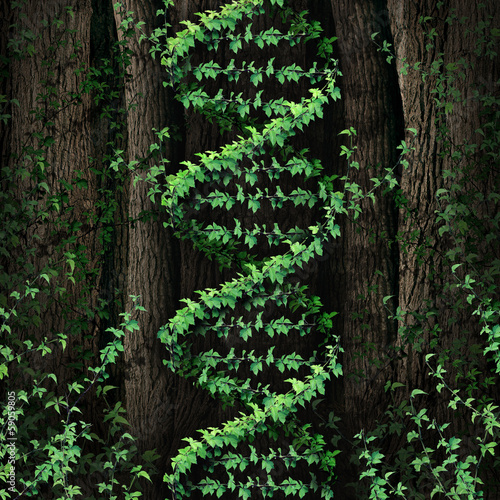 Illustration: DNA Nature DNA Nature