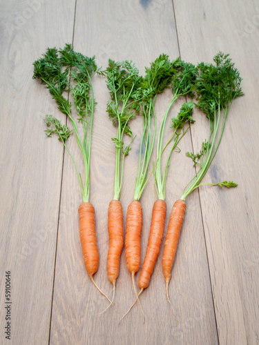 Photo: Arangment of Freshly Harvested Carrots Arangment of Freshly Harvested Carrots