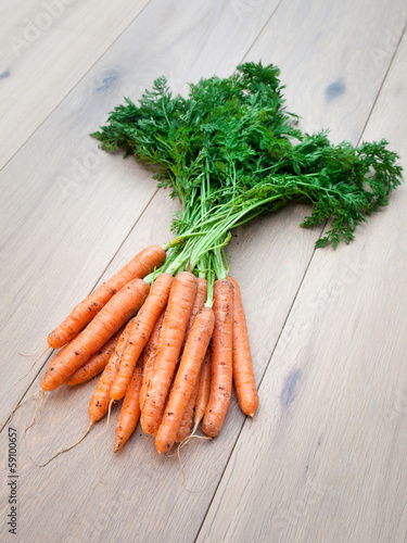 Photo: Freshly Harvested Carrots Freshly Harvested Carrots
