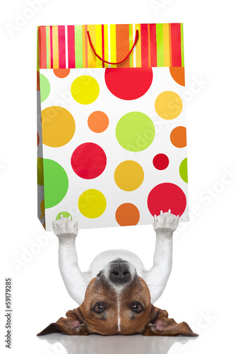 Photo: shopping dog shopping dog