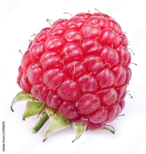 Photo: One rich raspberry fruit isolated on a white. One rich raspberry fruit isolated on a white.