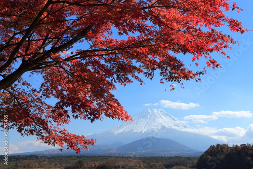 Photo: 精進湖の秋 精進湖の秋