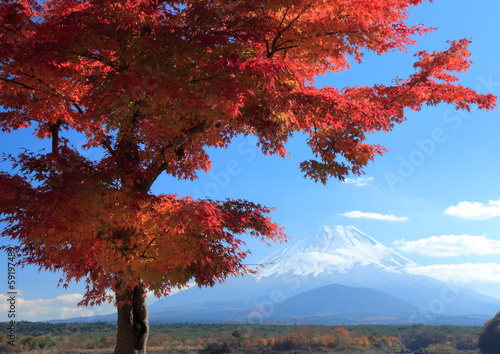 Photo: 富士と紅葉 富士と紅葉
