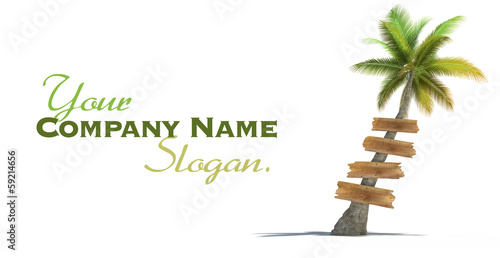 Illustration: Palm tree with wooden signs Palm tree with wooden signs