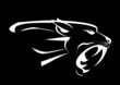panther head, roaring fang face in the dark panther head, roaring fang face in the dark