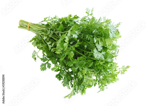 Photo: Cilantro Cilantro