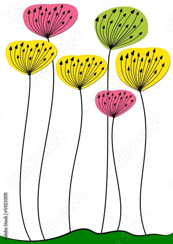 Illustration: PAPAVERI FIORI DI CARTA PAPAVERI FIORI DI CARTA