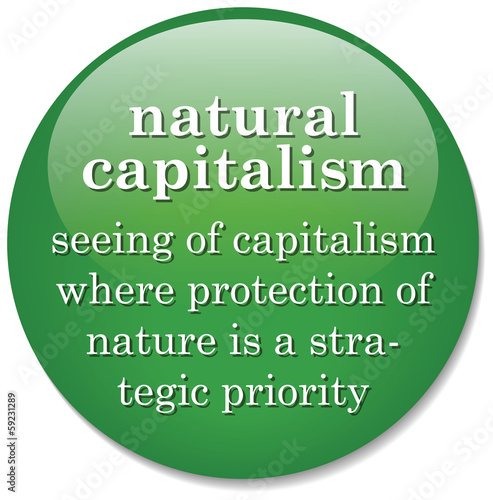 Vector: dictionary definition of the term Natural Capitalism dictionary definition of the term Natural Capitalism
