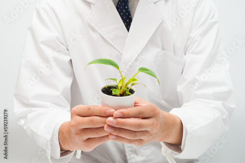 Photo: 植物を手にしている研究者 植物を手にしている研究者