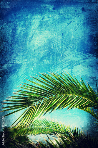 Photo: grunge palm grunge palm