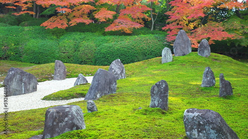 Photo: 秋の光明院庭園 秋の光明院庭園