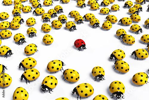 Illustration: Red ladybird is marginalized Red ladybird is marginalized