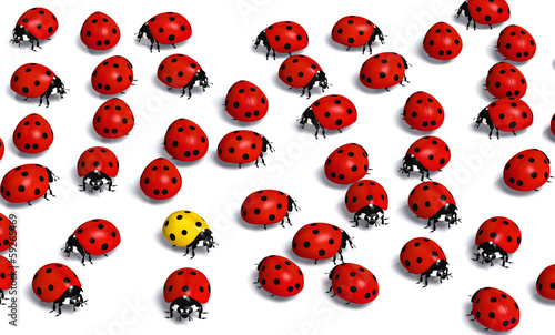 Illustration: Unique Yellow ladybird Unique Yellow ladybird
