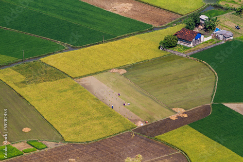 Photo: Bac Son Rice Field Bac Son Rice Field
