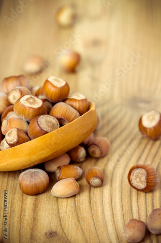 Photo: Hazelnuts Hazelnuts