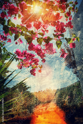 Photo: grunge sunshine grunge sunshine