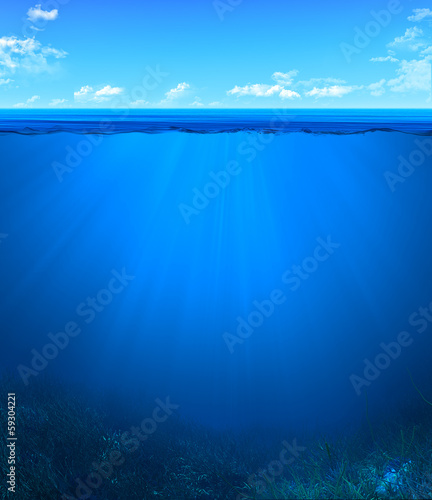 Illustration: underwater landscape underwater landscape