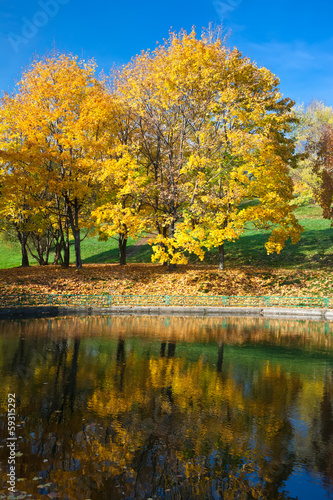 Photo: Autumn Autumn