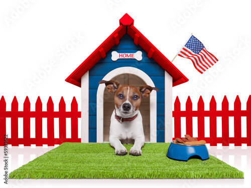 Photo: dog house dog house