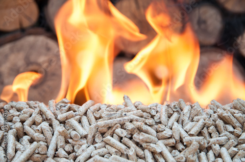 Photo: Pellets- Biomass Pellets- Biomass