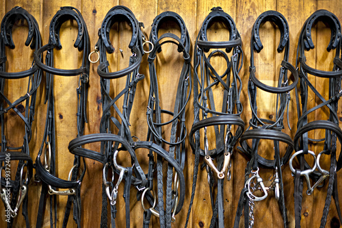 Photo: Horse bridles hanging in stable Horse bridles hanging in stable