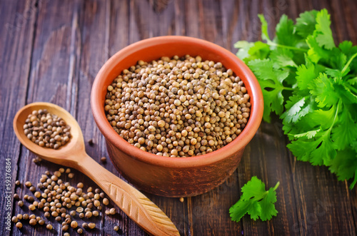 Photo: coriander coriander