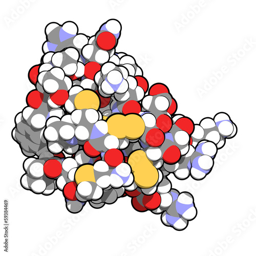 Illustration: Chlorotoxin scorpion toxin from Deathstalker scorpion Chlorotoxin scorpion toxin from Deathstalker scorpion