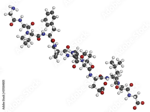 Illustration: Gliadin derived peptide. Immunogenic gluten breakdown product Gliadin derived peptide. Immunogenic gluten breakdown product