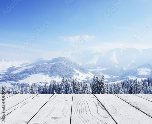 Photo: forest and pier forest and pier