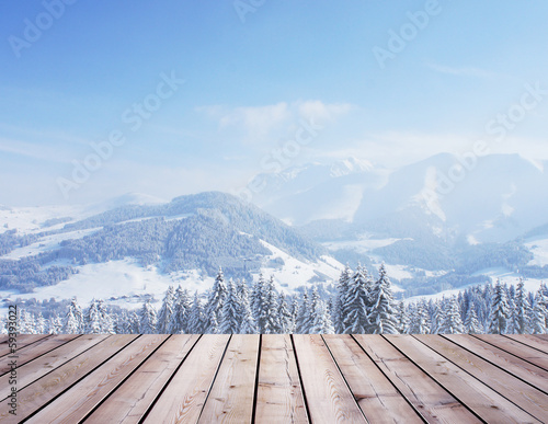 Photo: forest and roof forest and roof