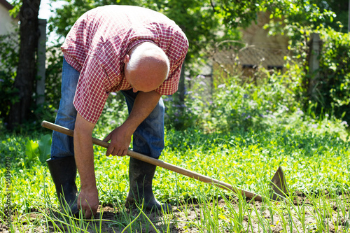 Photo: Senior male gardener Senior male gardener