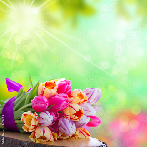 Photo: fresh spring flowers fresh spring flowers