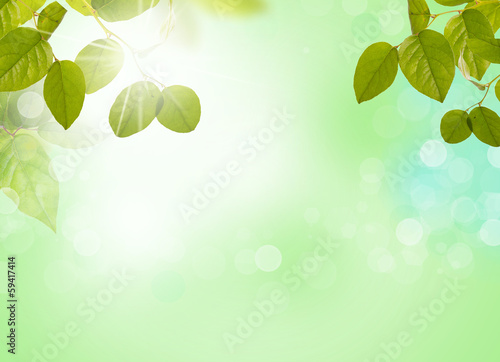 Illustration: natur hintergrund natur hintergrund