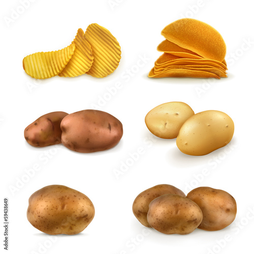 Vector: Potatoes vector set Potatoes vector set