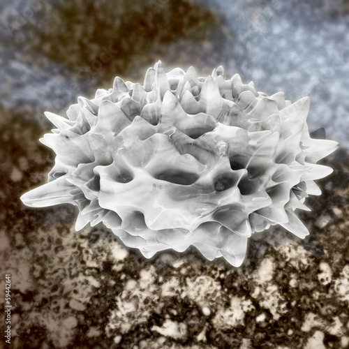 Illustration: Psoriasis (Schuppenflechte) - 3D Render Psoriasis (Schuppenflechte) - 3D Render